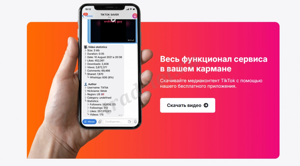 Загрузчик видео из Ютуб, Тикток