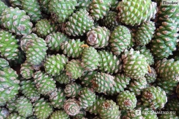 Продается домен